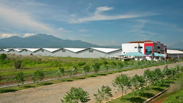 BSP Bukit Semarang Baru Industrial Park Indonesia ブキットセマランバル工業団地 印度尼西亚新马兰工业园区 印度尼西亞新馬蘭工業園區